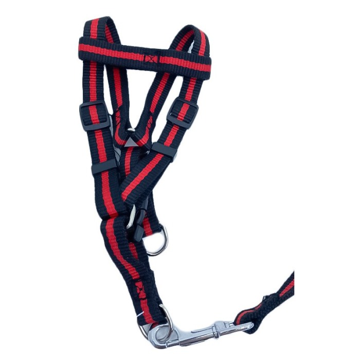 Lesa cu ham Baxter pentru caini de talie mica, rezistenta,ajustabila,amortizor,125 cm, rosu/negru [4]