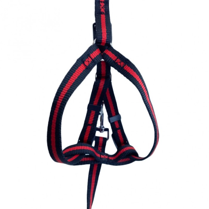 Lesa cu ham Baxter pentru caini de talie mica, rezistenta,ajustabila,amortizor,125 cm, rosu/negru [5]