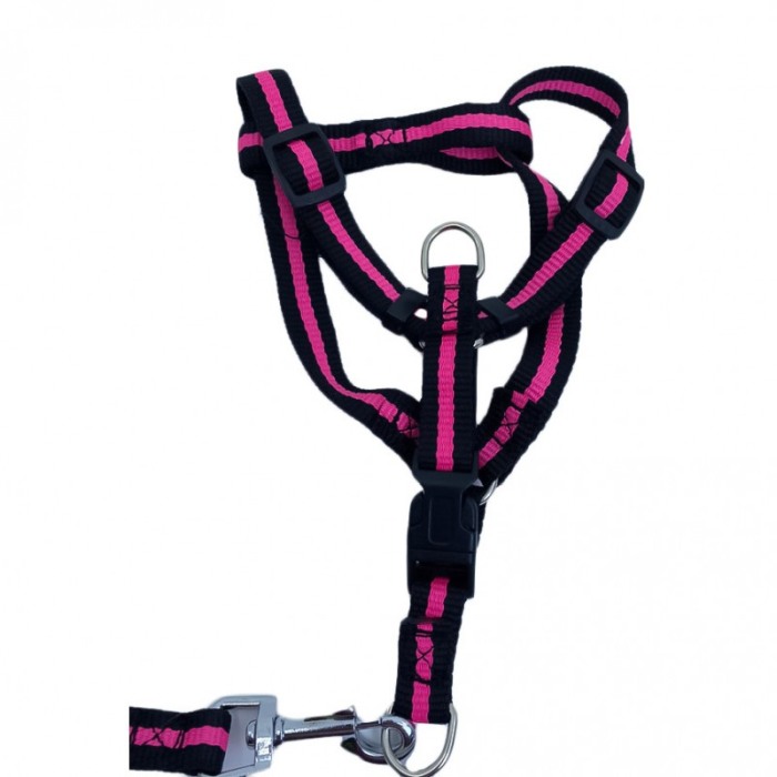 ﻿Lesa cu ham Baxter pentru caini de talie mica, rezistenta,ajustabila,amortizor,125 cm, roz/negru [2]