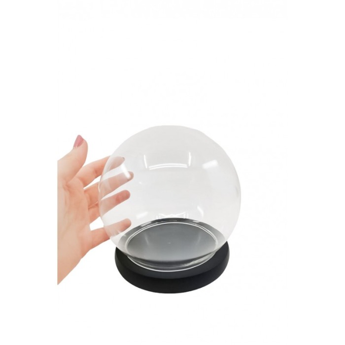 Obiect decorativ Wood Bowl din sticla si lemn, 15x15 cm, transparent [4]