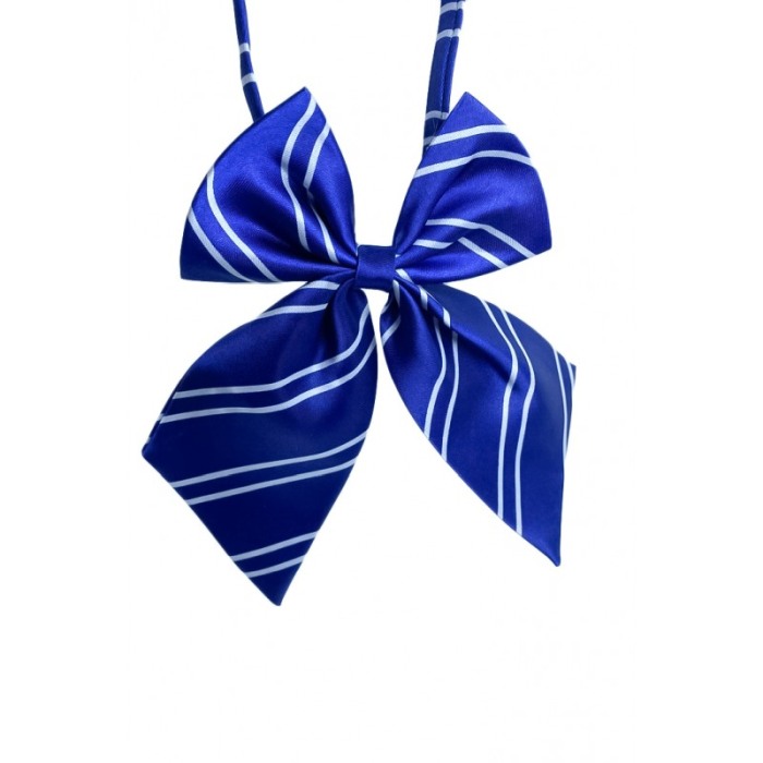 Papion tip funda Fashion Ally , pentru animale de companie, mici,44-32 cm, reglabila, model dungi, albastru/alb [3]