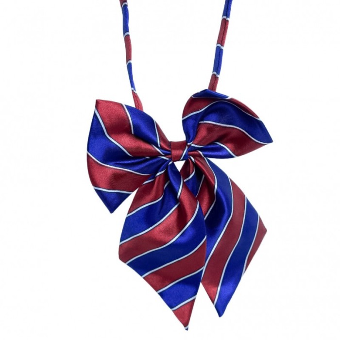 Papion tip funda Fashion Ally , pentru animale de companie, mici,44-32 cm, reglabila, model dungi, albastru/rosu [4]