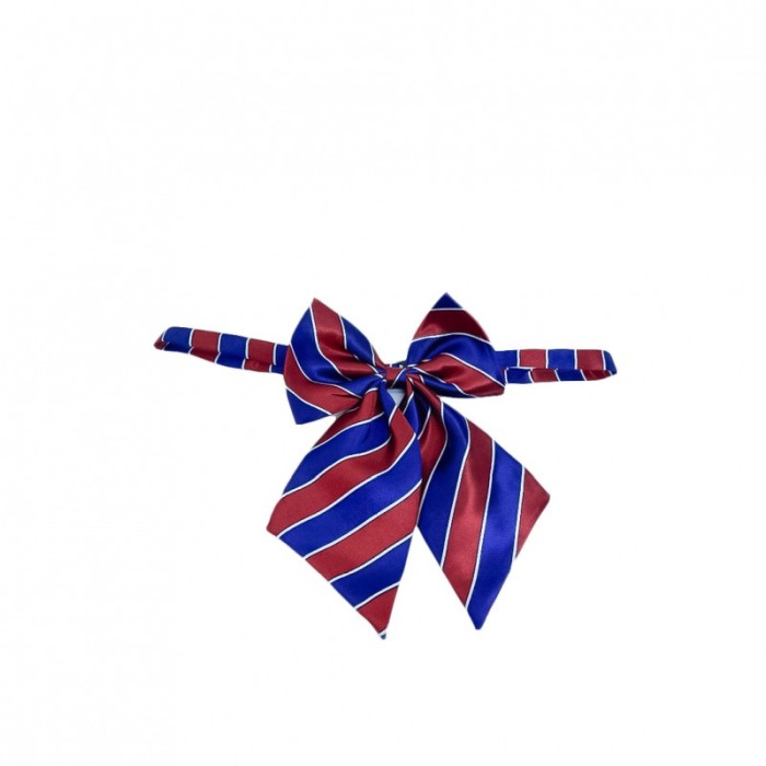 Papion tip funda Fashion Ally , pentru animale de companie, mici,44-32 cm, reglabila, model dungi, albastru/rosu [5]