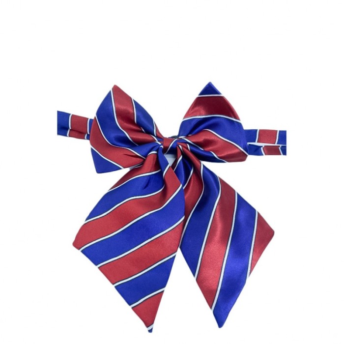 Papion tip funda Fashion Ally , pentru animale de companie, mici,44-32 cm, reglabila, model dungi, albastru/rosu [3]