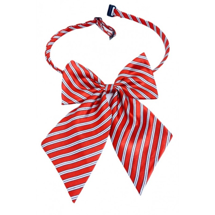 Papion tip funda Fashion Ally , pentru animale de companie, mici,44-32 cm, reglabila, model dungi, rosu/alb [4]
