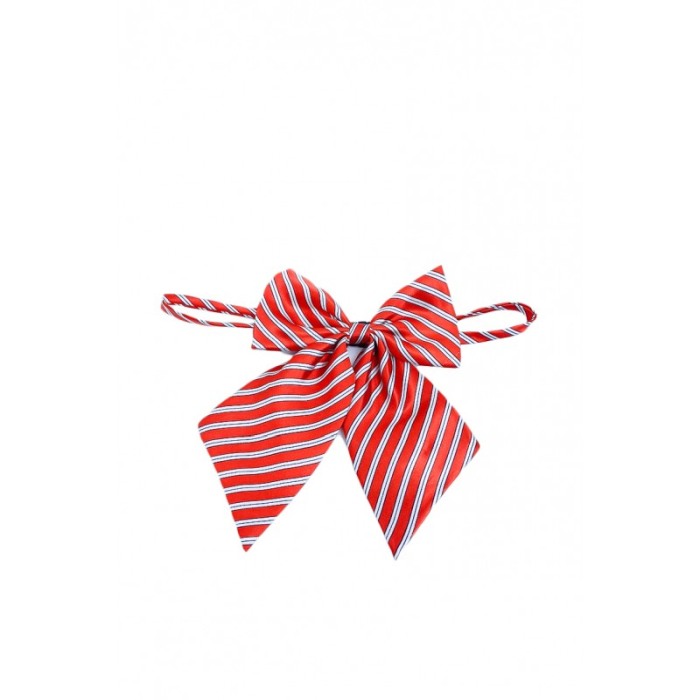 Papion tip funda Fashion Ally , pentru animale de companie, mici,44-32 cm, reglabila, model dungi, rosu/alb [5]