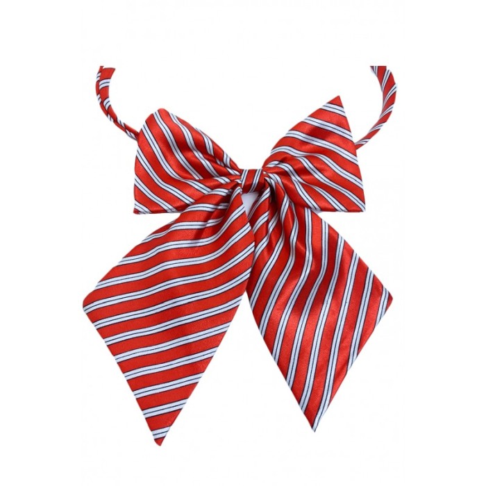 Papion tip funda Fashion Ally , pentru animale de companie, mici,44-32 cm, reglabila, model dungi, rosu/alb [2]
