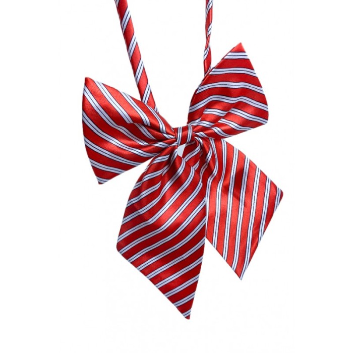 Papion tip funda Fashion Ally , pentru animale de companie, mici,44-32 cm, reglabila, model dungi, rosu/alb [3]