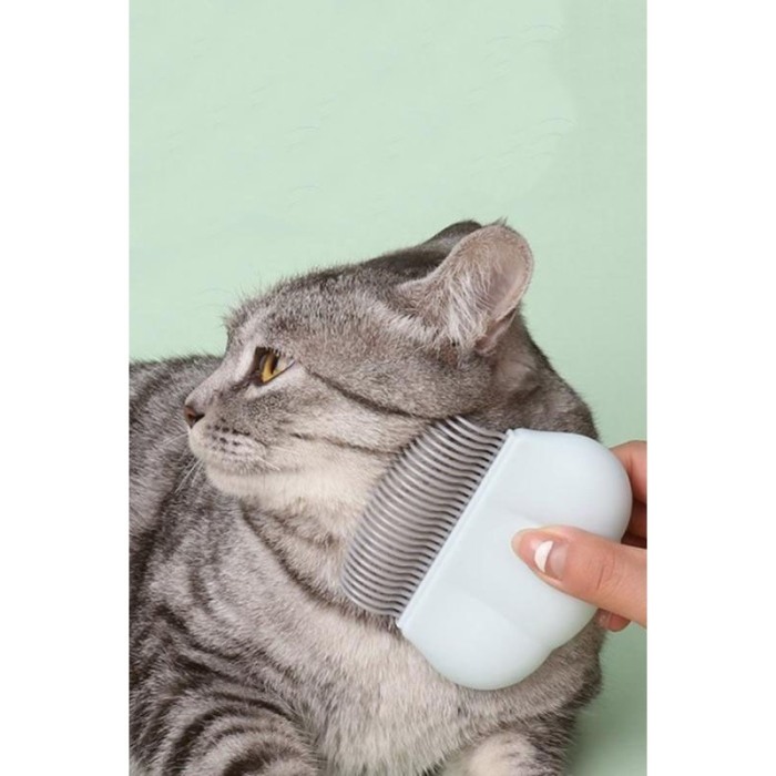 Perie BlueShell pentru animalele de companie, forma de scoica, usoara si practica, albastru deschis [3]