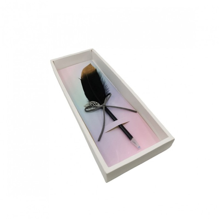 Pix Feather Writer, cu pana si accesoriu, elegant, negru cu accente aurii [4]