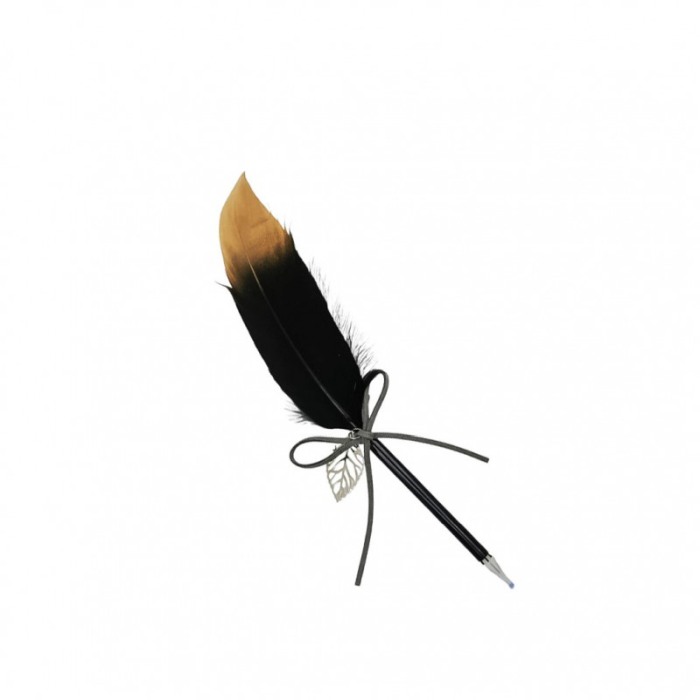 Pix Feather Writer, cu pana si accesoriu, elegant, negru cu accente aurii [3]