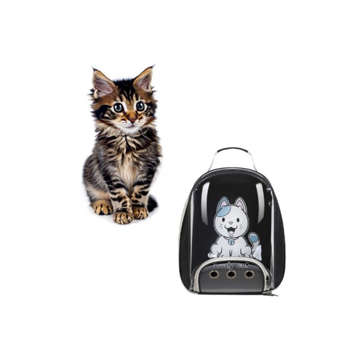 Rucsac pentru animale de companie de talie mica PetBackpack, spatii aerisire, spate transparent, 45x35x17cm, negru, Doty® [4]
