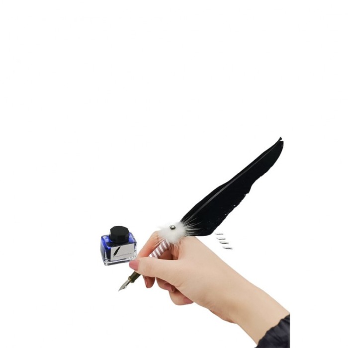 Set caligrafie vintage OldGoldNip, cu penite incluse si calimara, stilou cu pana, alb/negru [4]