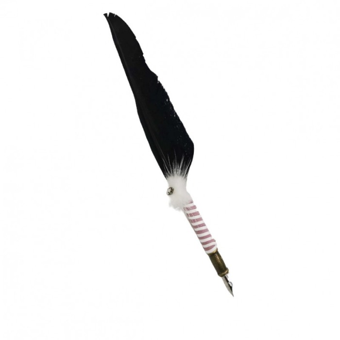 Set caligrafie vintage OldGoldNip, cu penite incluse si calimara, stilou cu pana, alb/negru [2]