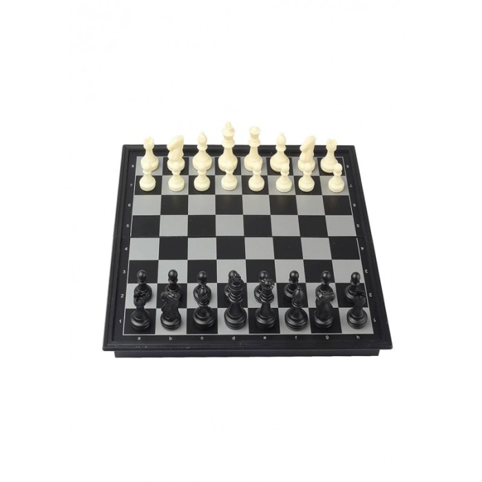 Set joc de sah, piese magnetice, usor de transportat si depozitat, 26x25 cm, alb/negru, Doty®️ [2]
