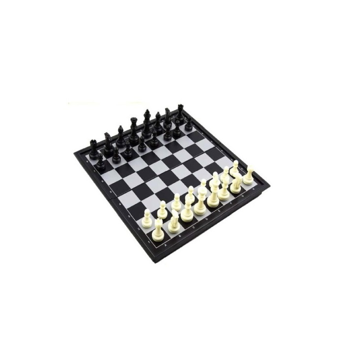 Set joc de sah, piese magnetice, usor de transportat si depozitat, 26x25 cm, alb/negru, Doty®️ [1]
