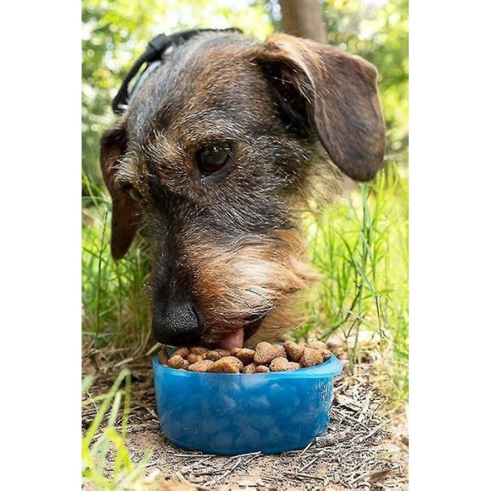 Sticla 2 in 1 Pet Double Bottle, pentru animalele de companie, 330 ml, portabila, pentru lichide si hrana, albastru, Doty®️ [10]