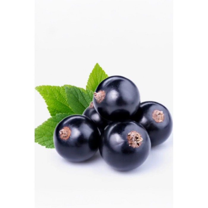 Yodeyma Adriana Apa de parfum pentru femei, nuante de agris negru, piersic si vanilie, 50ml [2]