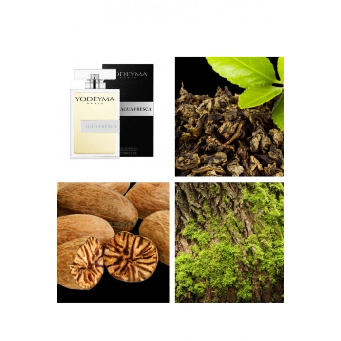 Yodeyma Agua Fresca Apa de parfum pentru barbati, nuante de ceai verde, nuca macinata si lichen de prun, 100ml [5]