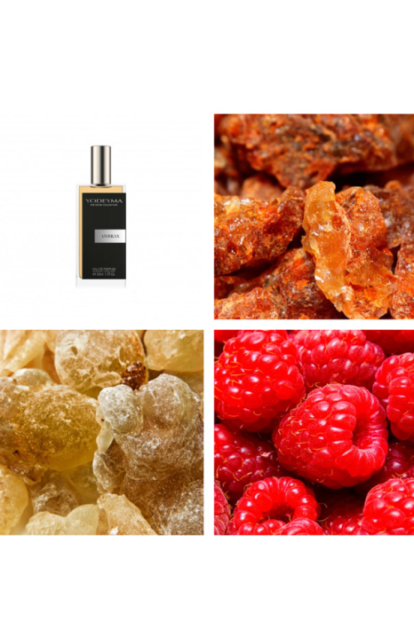Yodeyma Ambrax Apa de parfum pentru barbati, nuante de Lemn de agar, Rasina de benjoin si tamaie, este nota perfecta de masculinitate moderna, putere si rafinament, 50ml [4]