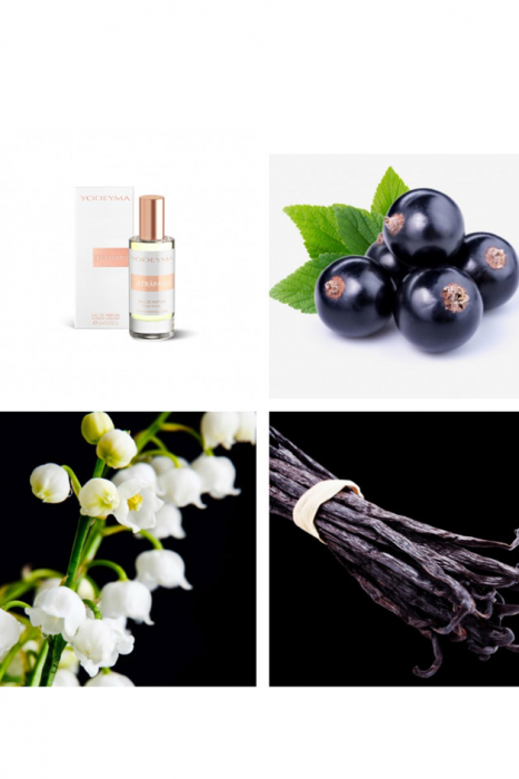 Yodeyma Atrápame Apa de parfum pentru femei, nuante de agris negru, lacramioara si vanilie, 15ml [4]