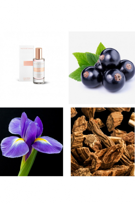 Yodeyma Celebrity Woman Apa de parfum pentru femei, nuante de agris negru, iris si pachuli, 15ml [5]