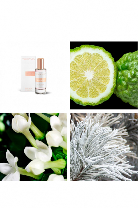 Yodeyma For You Apa de parfum pentru femei, nuante de bergamota, iasomie si cedru alb, 15ml [4]