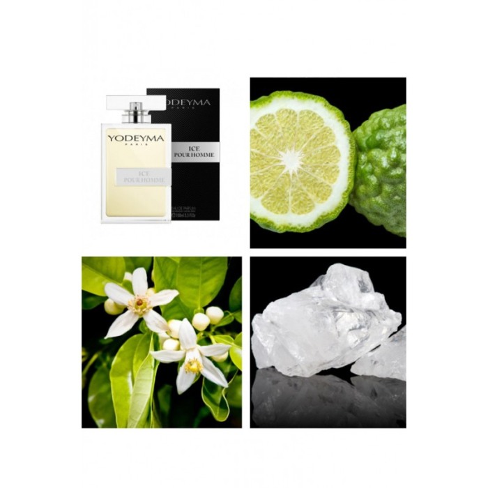 Yodeyma Ice Pour Homme Apa de parfum pentru barbati, nuante de bergamota, Floare de Pomelo si mosc alb, 100ml [4]