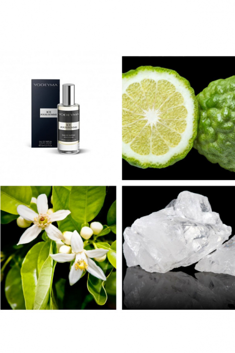 Yodeyma Ice Pour Homme Apa de parfum pentru barbati, nuante de bergamota, Floare de Pomelo si mosc alb, 15ml [4]