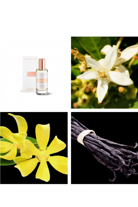 Yodeyma Insinué Apa de parfum pentru femei, nuante de azahar, Ylang Ylang si vanilie, 15ml [4]
