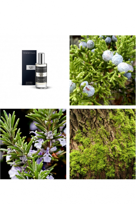Yodeyma Kara Men Apa de parfum pentru barbati, nuante de ienupar, rozmarin si lichen de prun, 15ml [3]