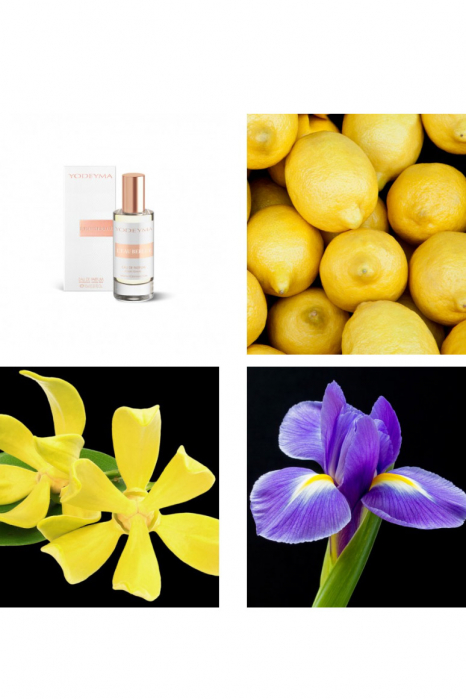 Yodeyma L'eau Berlue Apa de parfum pentru femei, nuante de lamaie, Ylang Ylang si iris, 15ml [4]