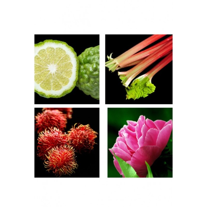 Yodeyma Linet Apa de parfum pentru femei, nuante de bergamota, rubarba, litchi si bujor, 100ml [4]
