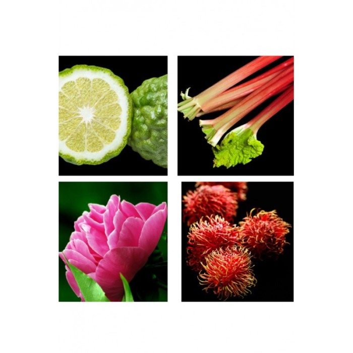Yodeyma Linet Apa de parfum pentru femei, nuante de bergamota, rubarba, litchi si bujor, 15ml [3]