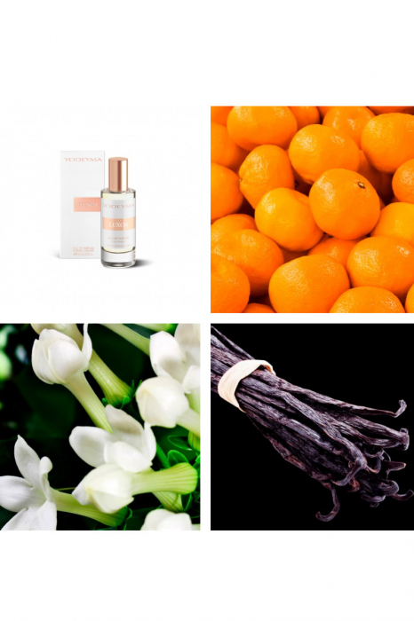 Yodeyma Luxor Apa de parfum pentru femei, nuante de mandarina, iasomie si vanilie, 15ml [4]