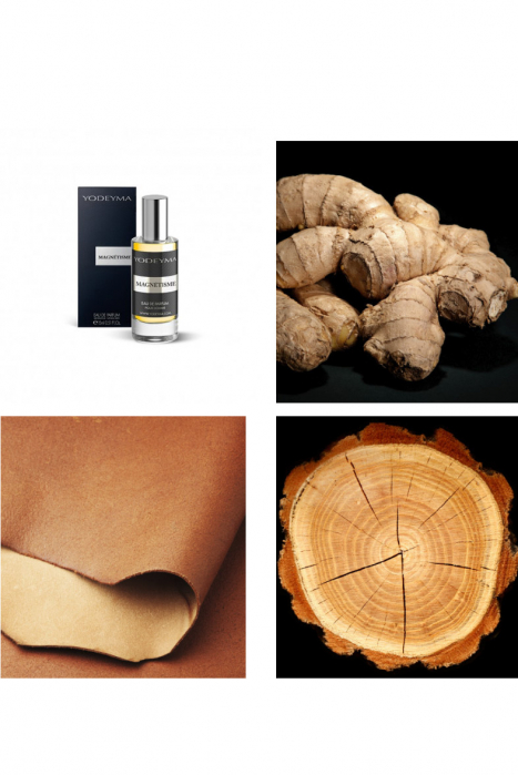 Yodeyma Magnétisme Apa de parfum pentru barbati, nuante de ghimbir, piele si lemn, 15ml [2]