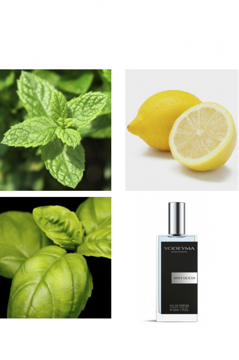 Yodeyma Mint Ocean Apa de parfum pentru barbati, nuante de menta, lamaie si busuioc, 50ml [5]