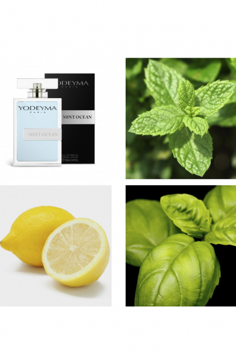 Yodeyma Mint Ocean Apa de parfum pentru barbati, nuante de menta, lamaie si busuioc, pentru barbatul activ, care isi doreste un suflu de libertate si forta in fiecare zi, 100ml [3]