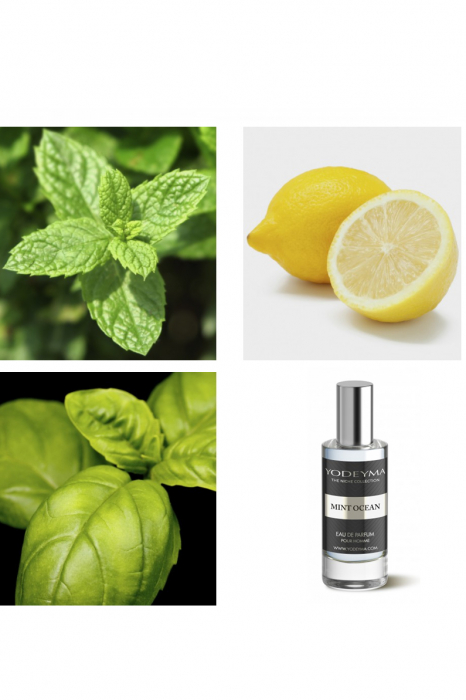 Yodeyma Mint Ocean Apa de parfum pentru barbati, nuante de menta, lamaie si busuioc, pentru barbatul activ, care isi doreste un suflu de libertate si forta in fiecare zi, 15ml [4]