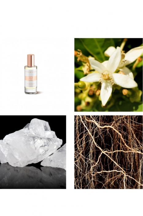 Yodeyma Nicolas for Her Apa de parfum pentru femei, nuante de azahar, iasomie si mosc alb, 15ml [6]