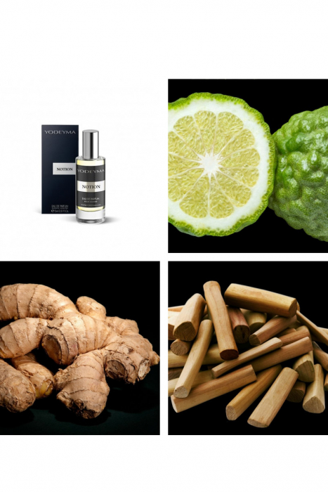 Yodeyma Notion Apa de parfum pentru barbati, nuante de bergamota, ghimbir si Sándal, 15ml [4]