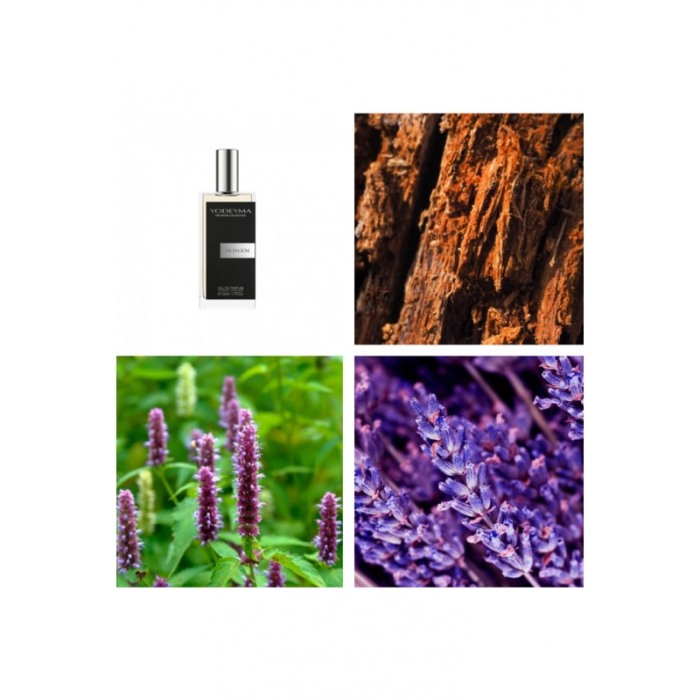 Yodeyma Oud Gem Apa de parfum pentru barbati, nuante de Oud, pachuli si lavanda, 50ml [4]