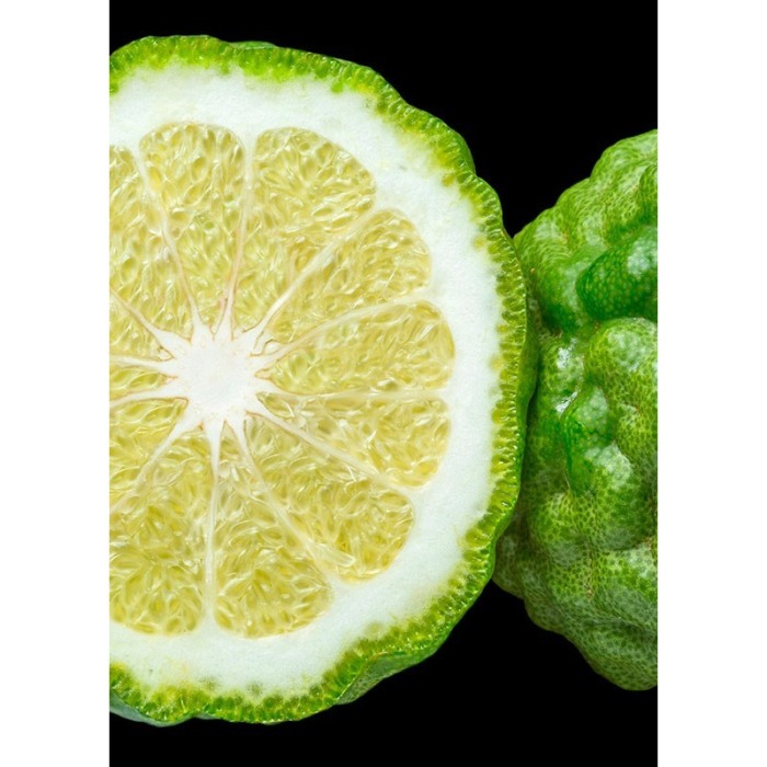 Yodeyma Peak Apa de parfum pentru barbati, nuante de bergamota, piele si cacao, 100ml [5]