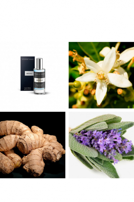 Yodeyma Résolu Apa de parfum pentru barbati, nuante de floare de portocal, ghimbir si salvie, 15ml [4]