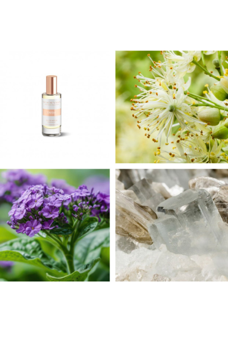 Yodeyma Tayda Apa de parfum pentru femei, nuante de flori de tei, Heliotrop si Ambroxan, este nota perfecta de feminitate moderna si rafinament subtil, 15ml [4]