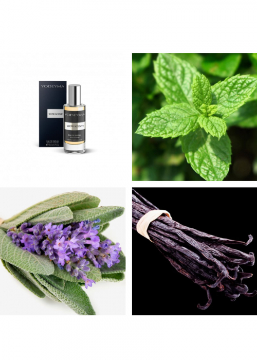 Yodeyma Wow Scent! Apa de parfum pentru barbati, nuante de menta, salvie si vanilie, 15ml [2]