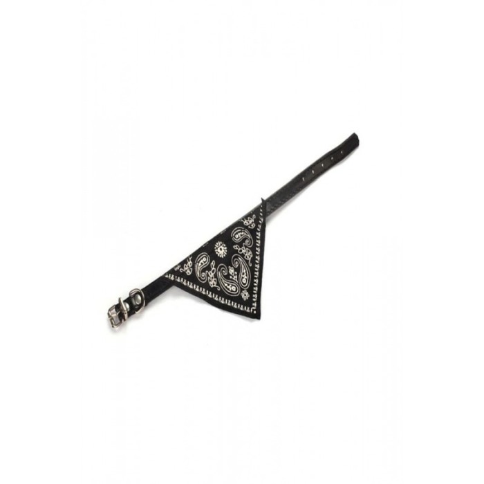Zgarda cu bandana pentru caini de talie mica, confortabila,neagra,Doty [2]