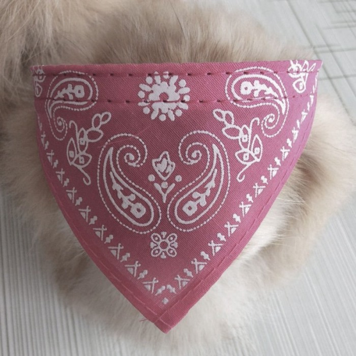 Zgarda cu bandana pentru caini de talie mica, confortabila,roz,Doty [2]