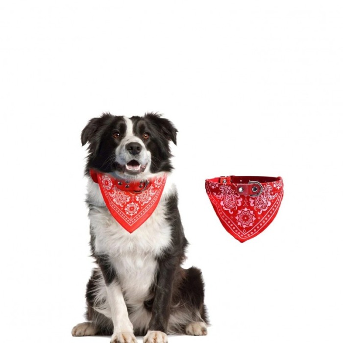 Zgarda cu bandana The Coolest, pentru caini de talie medie/mare, confortabila, 35/45 cm, rosie [3]