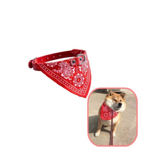 Zgarda cu bandana The Coolest, pentru caini de talie medie/mare, confortabila, 35/45 cm, rosie [5]